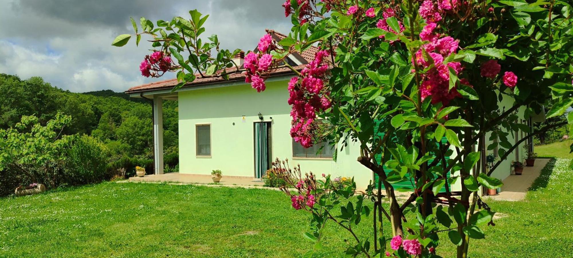 Pia'S House Garden Apartment Campobasso Exterior foto
